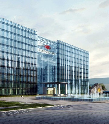 山東如意集團(tuán)有限公司